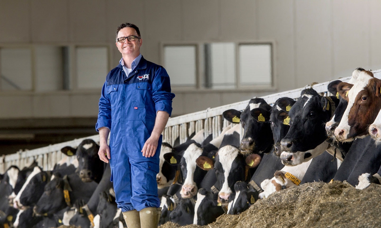 Man Standing in Stall Barn